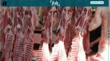 أسعار اللحمة البلدي في كفر الشيخ السبت 25 أكتوبر 2025